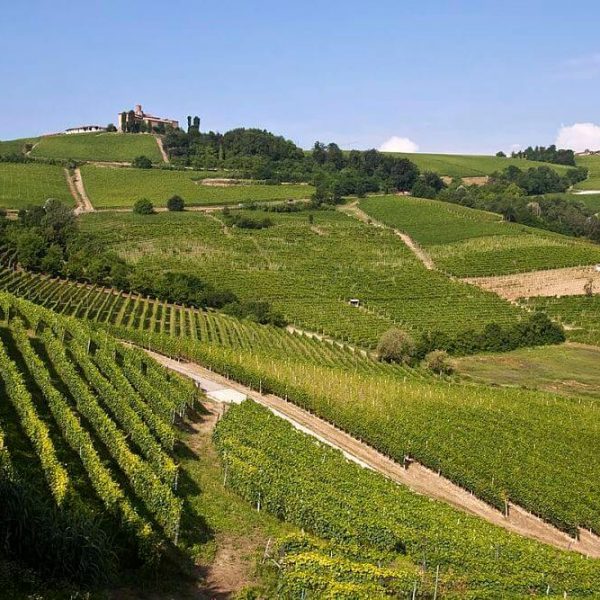 Discover best Piedmont Langhe food - Wine Tour