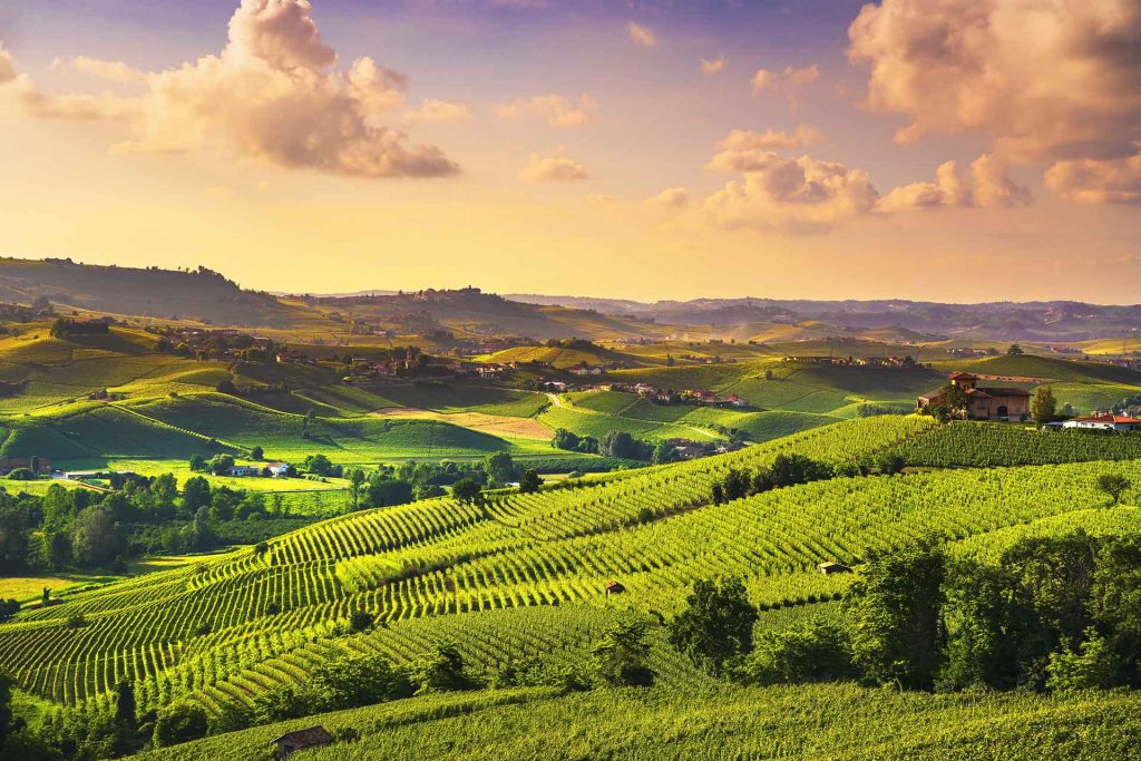 Langhe news