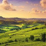 Langhe news