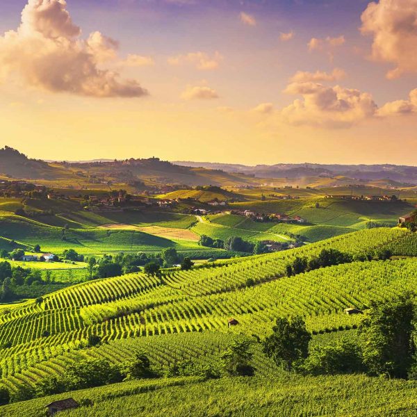 Langhe news